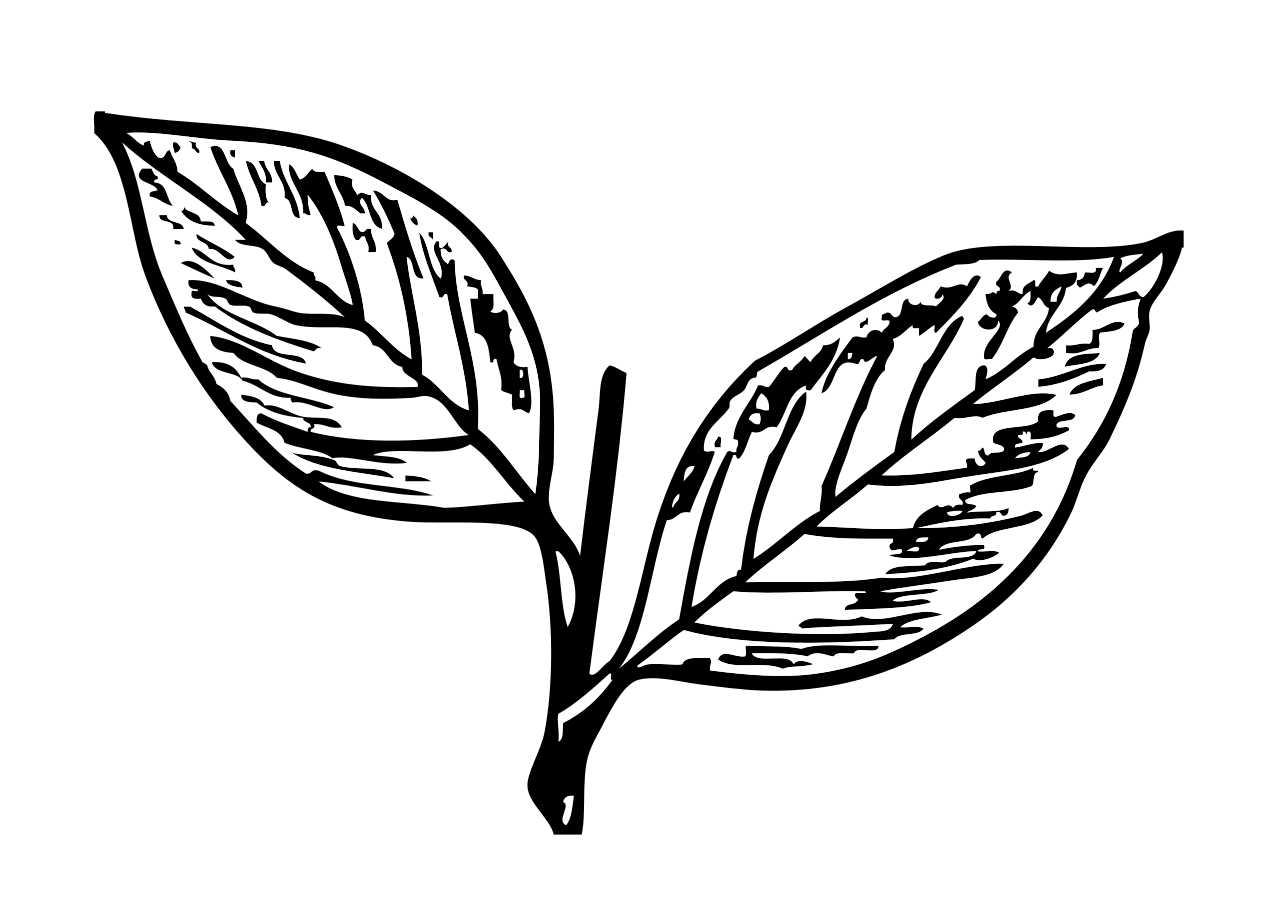 AIADMK